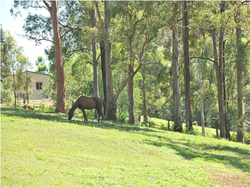 Kobble Creek QLD 4520