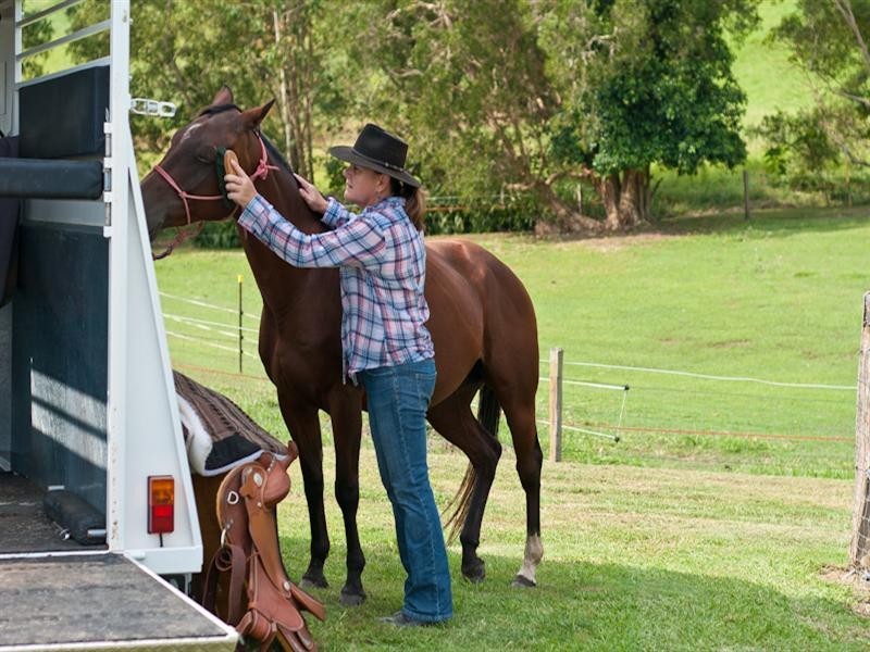 3 Butterfly Crescent, Samford QLD 4520