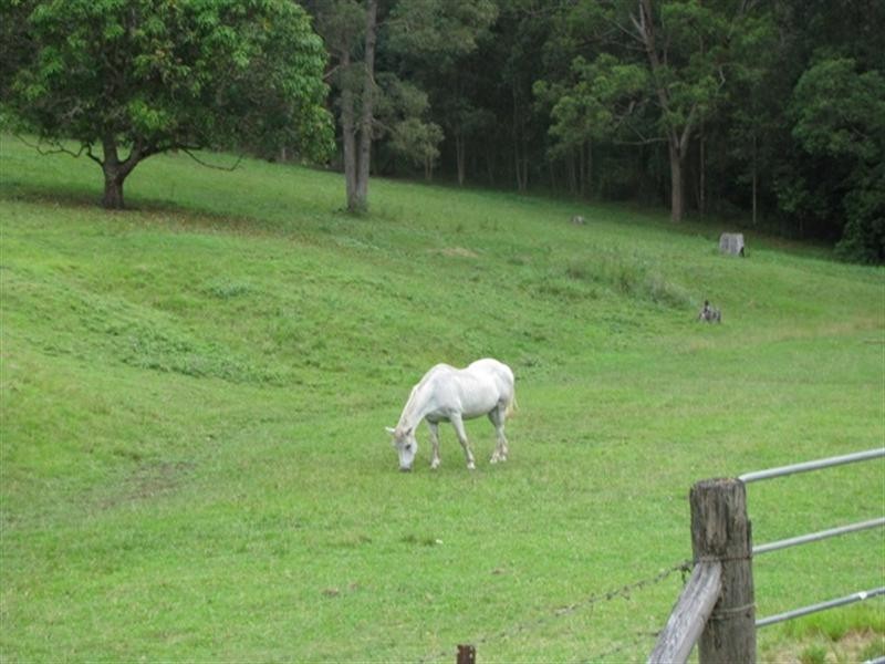 20 Laidlaw, Dayboro QLD 4521