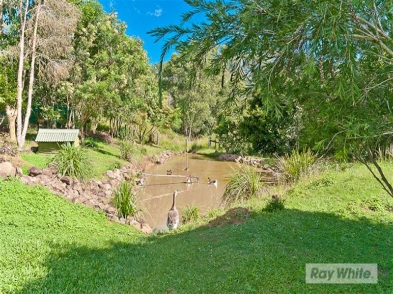 14 Jackeroo Court, Dayboro QLD 4521