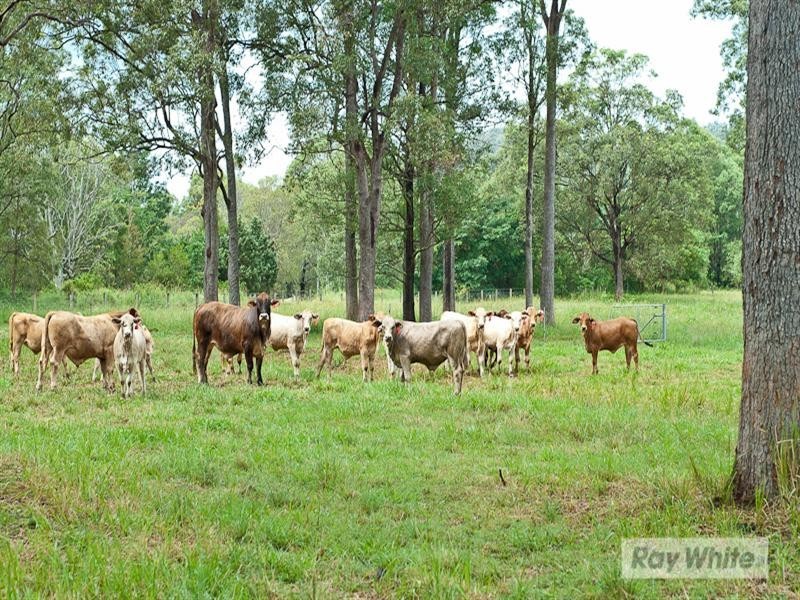 Delaneys Creek QLD 4514