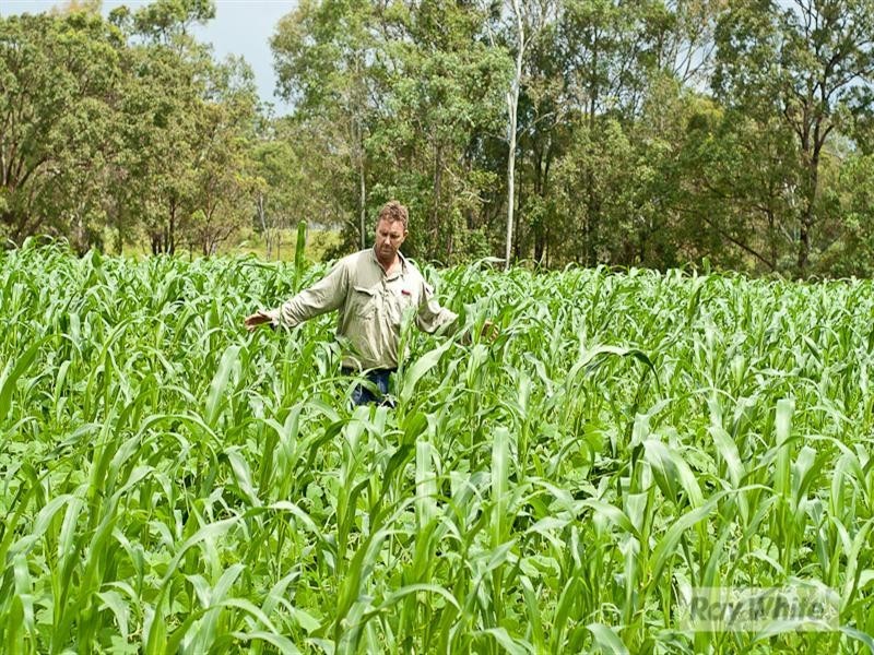 Delaneys Creek QLD 4514