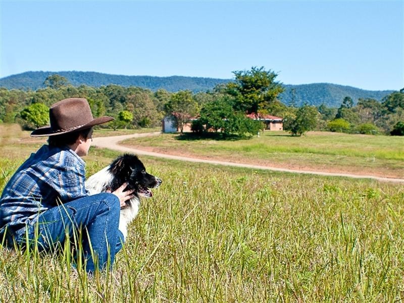 Kobble Creek QLD 4520