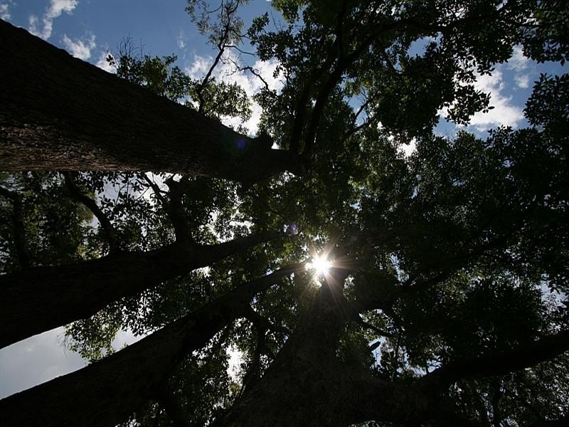 20 Dean Drive, Ocean View QLD 4521