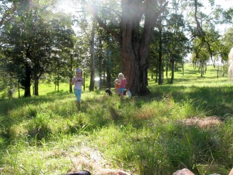 20 Dean Drive, Ocean View QLD 4521