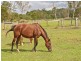3 Butterfly Crescent, Dayboro QLD 4521