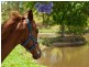 Delaneys Creek QLD 4514