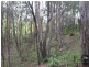 233 Pringles Road, Kobble Creek QLD 4520