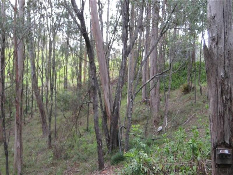 233 Pringles Road, Kobble Creek QLD 4520