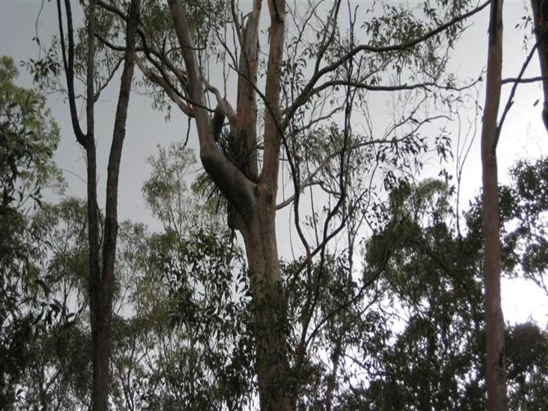 233 Pringles Road, Kobble Creek QLD 4520