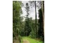 LOT 2 WIRTH Road, Dayboro QLD 4521