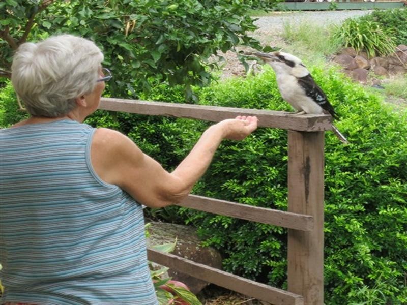 51 Saddleback Drive, Dayboro QLD 4521