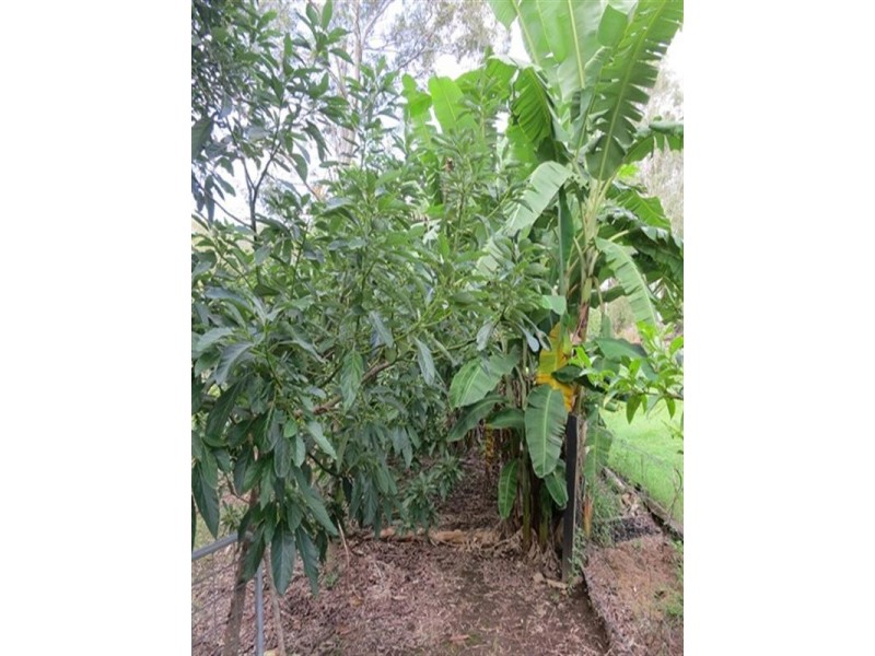 51 Saddleback Drive, Dayboro QLD 4521