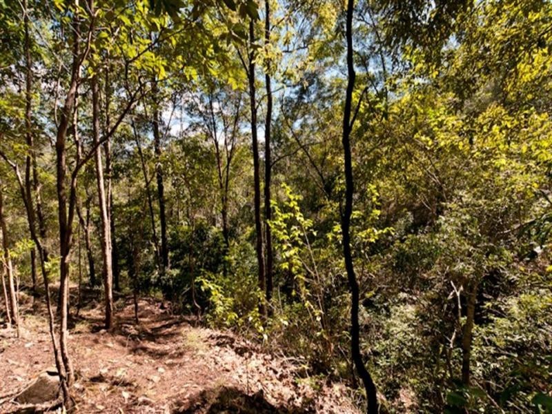 77 Macadamia Drive, Dayboro QLD 4521