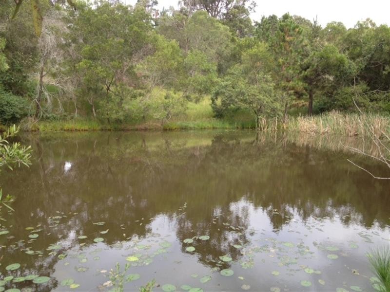 88 SUNRISE Drive, Ocean View QLD 4521