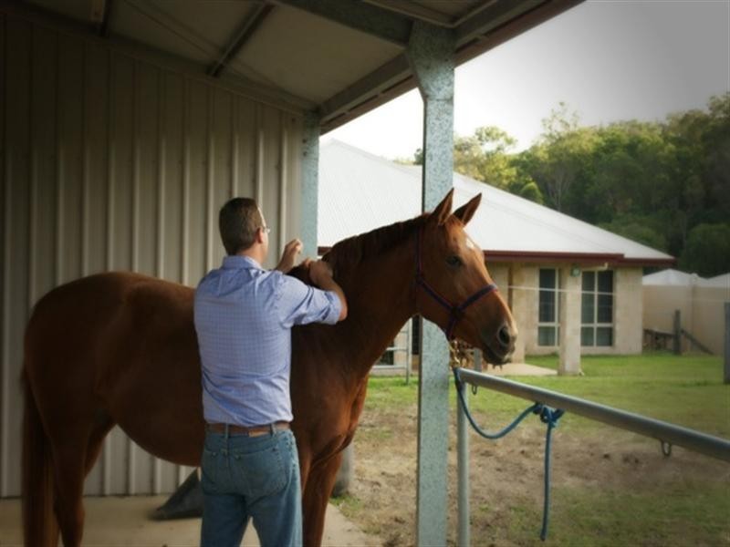 7 Butterfly Crescent, Samsonvale QLD 4520
