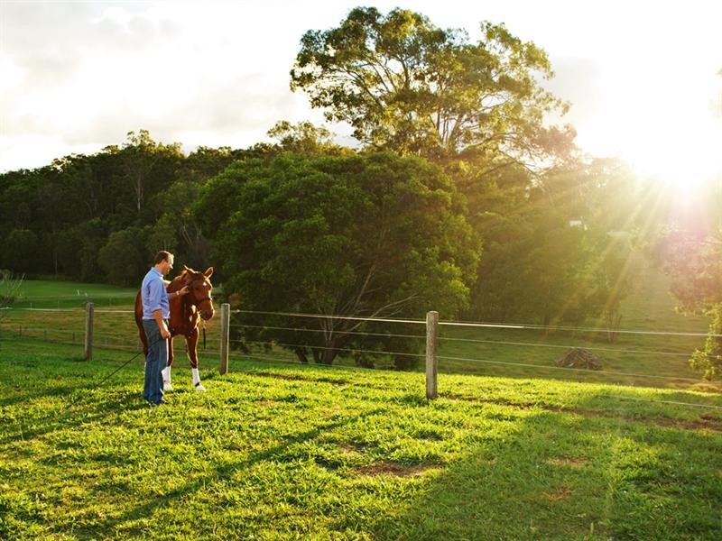 7 Butterfly Crescent, Samsonvale QLD 4520