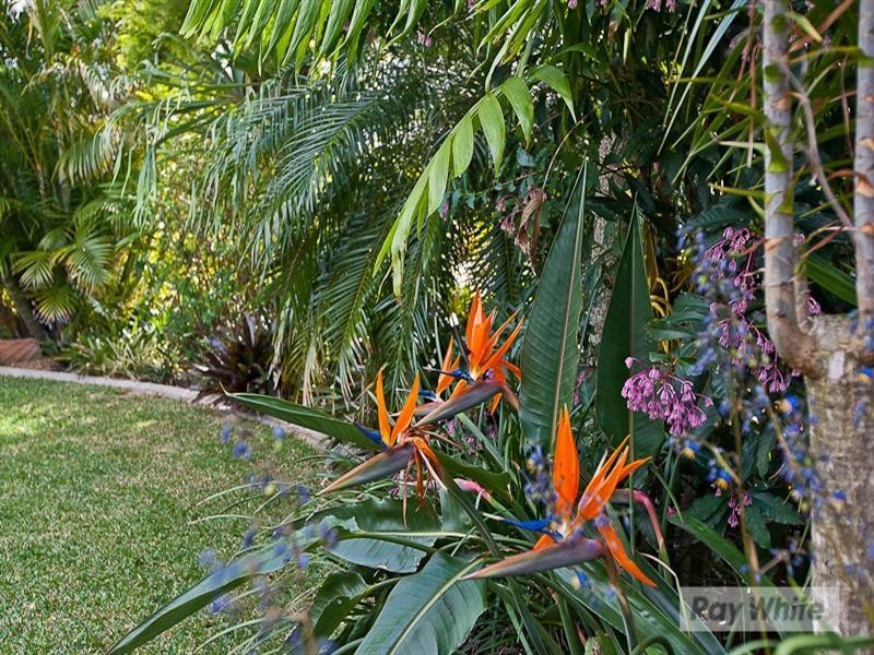 20 Lassus Court, Burpengary QLD 4505