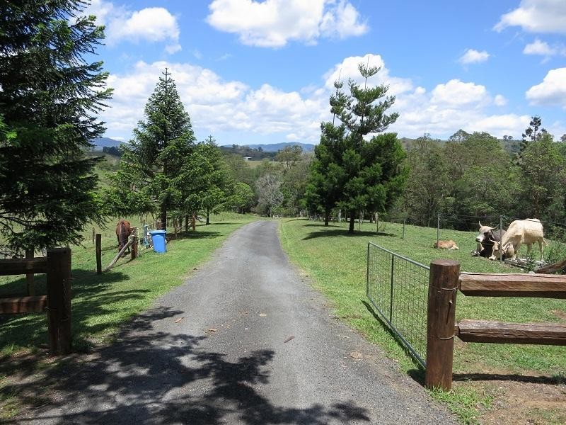 54 Terrors Road, Dayboro QLD 4521