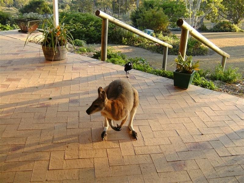 43 Pacific Vista Court, Ocean View QLD 4521