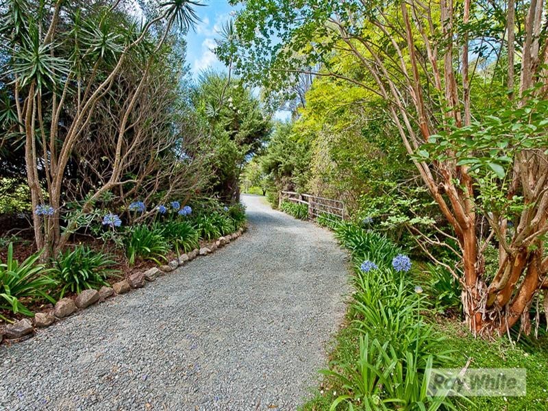 43 Pacific Vista Court, Ocean View QLD 4521