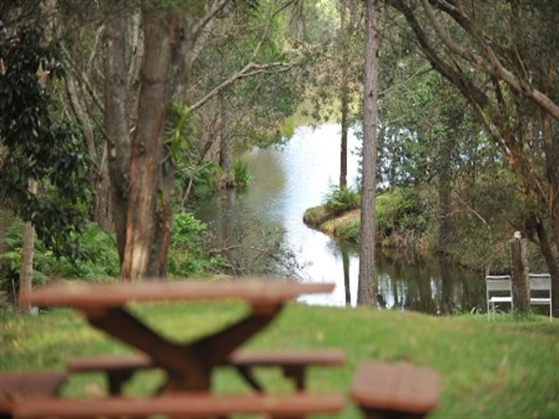 “Protea” Woodward Road, Armstrong Creek QLD 4520