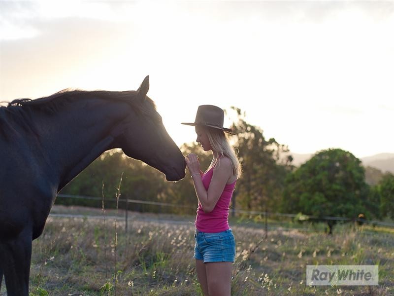 Kobble Creek QLD 4520