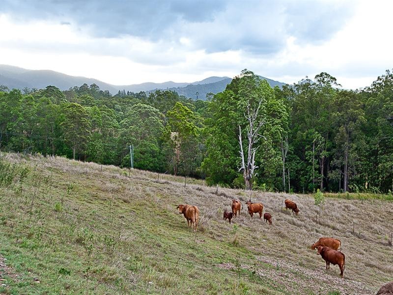 Kobble Creek QLD 4520