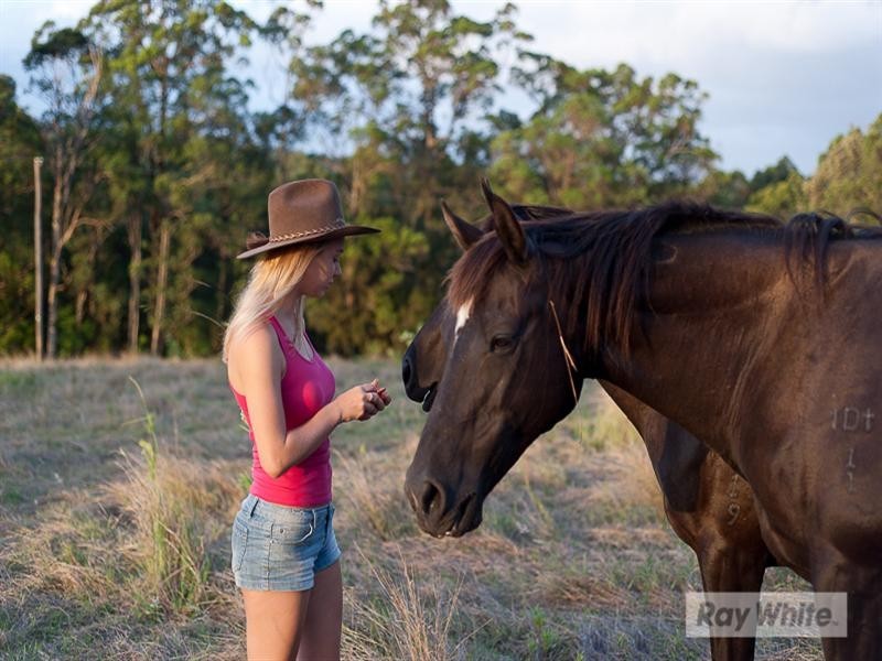 Kobble Creek QLD 4520