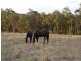 Kobble Creek QLD 4520