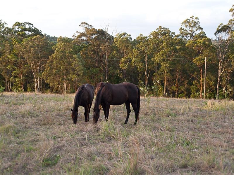 Kobble Creek QLD 4520
