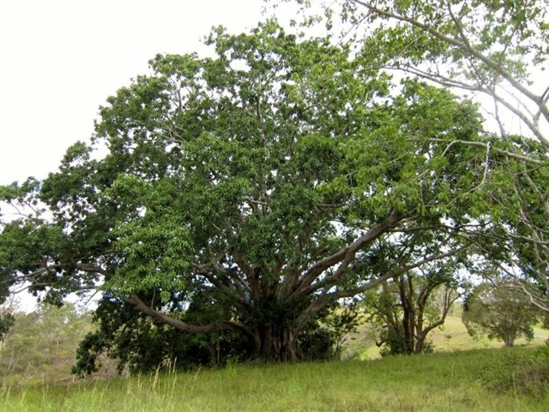 Lot 5 Grand View Drive, Ocean View QLD 4521