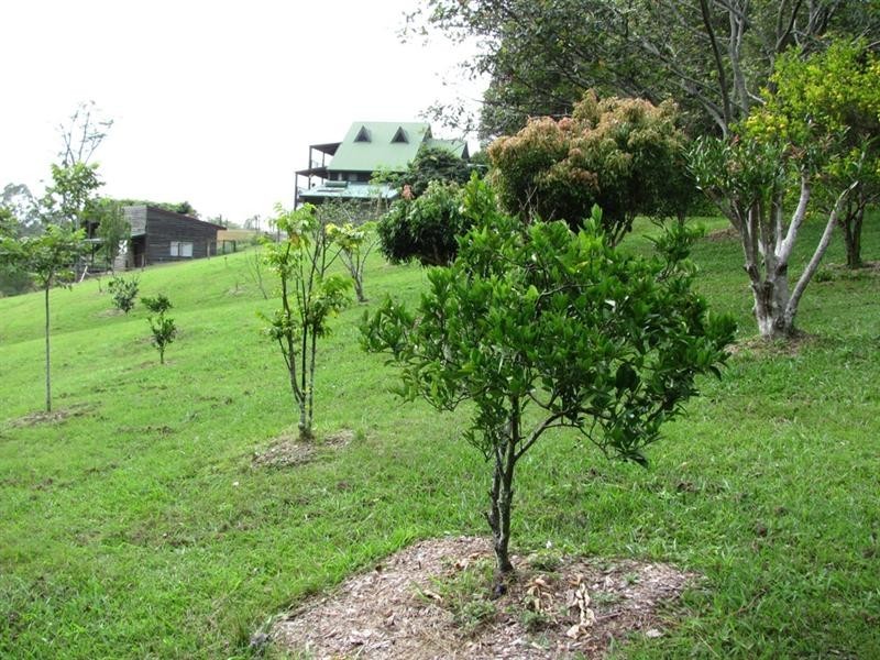 3 Highcrest Street, Ocean View QLD 4521