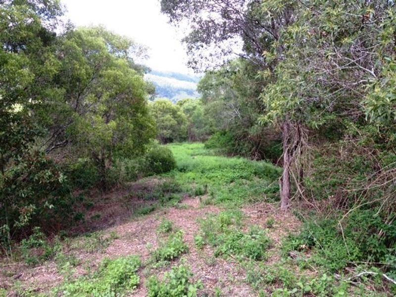 431 Mount Brisbane Road, Dayboro QLD 4521