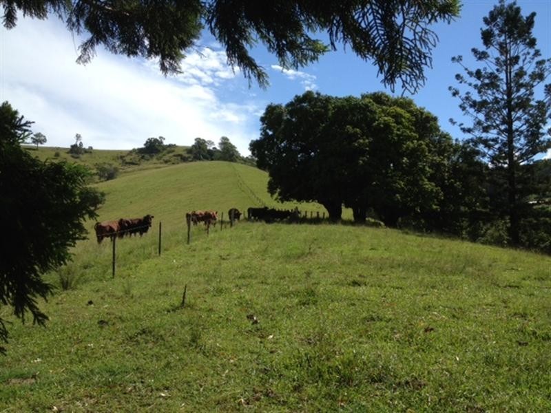 167 BOND Road, King Scrub QLD 4521