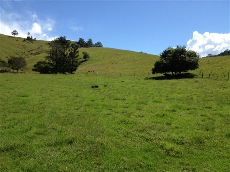 167 BOND Road, King Scrub QLD 4521