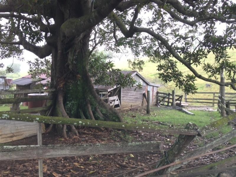 167 BOND Road, King Scrub QLD 4521