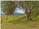 Laceys Creek QLD 4521