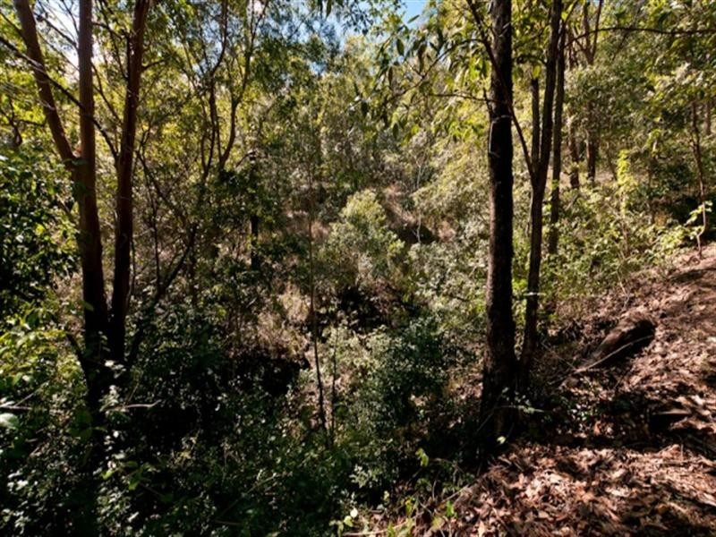 77 Macadamia Drive, Dayboro QLD 4521