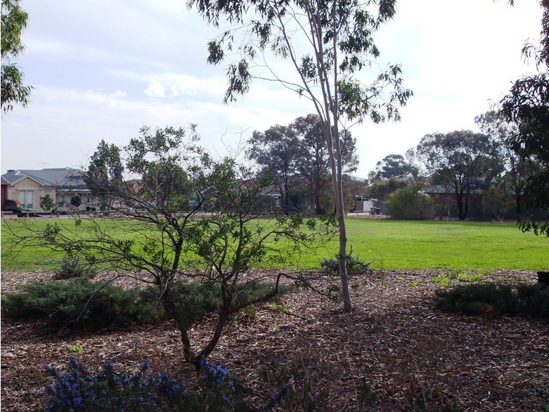 21 Kurrajong Avenue, Athelstone SA 5076