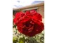 101 Hampstead Road, Manningham SA 5086