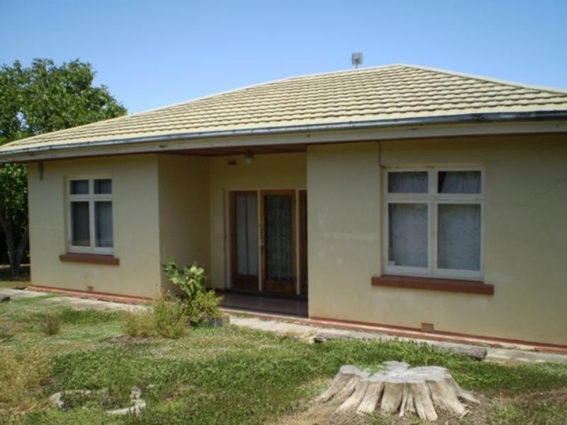4 Mc Lennon Avenue, Magill SA 5072