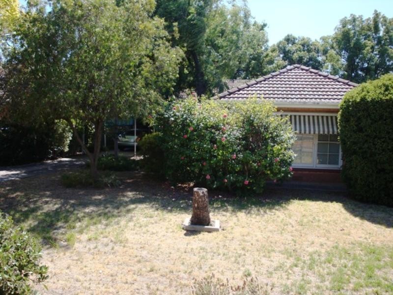 40 Fife Street, Klemzig SA 5087