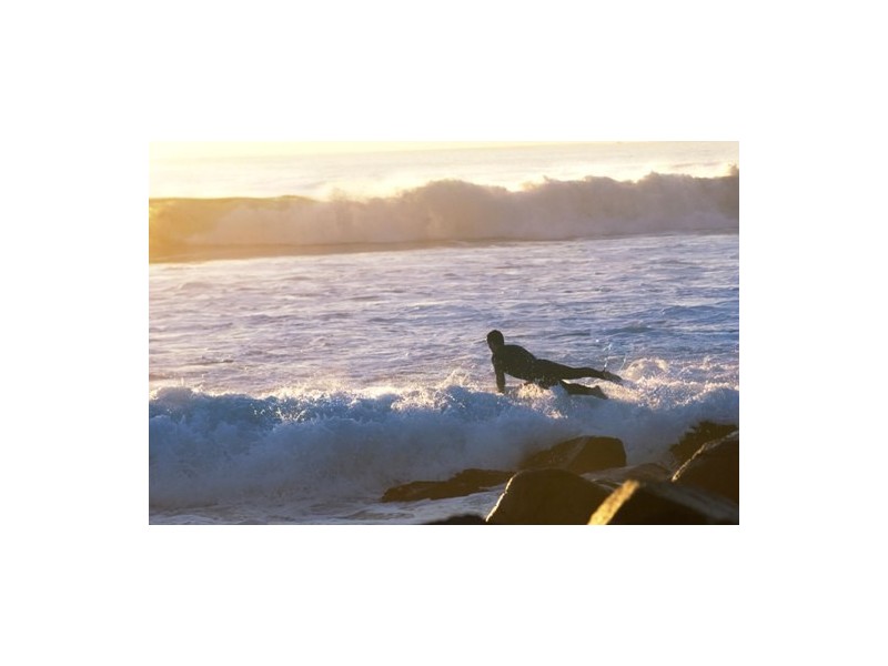 216 Pandanus Pd, Cabarita Beach NSW 2488