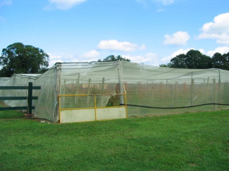 1 Jack Williams Place, Dungay NSW 2484