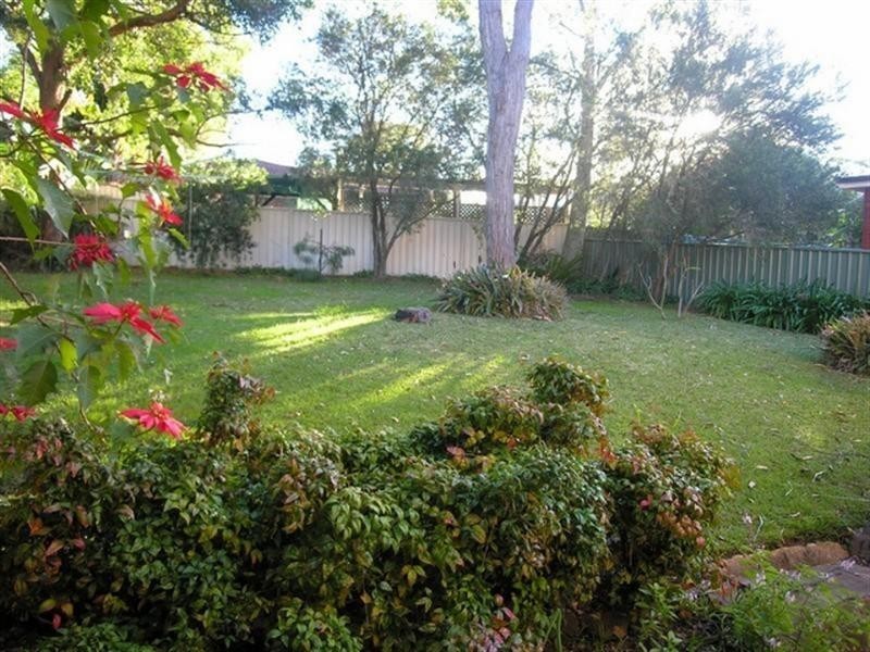 172 Sunrise Avenue, Budgewoi NSW 2262