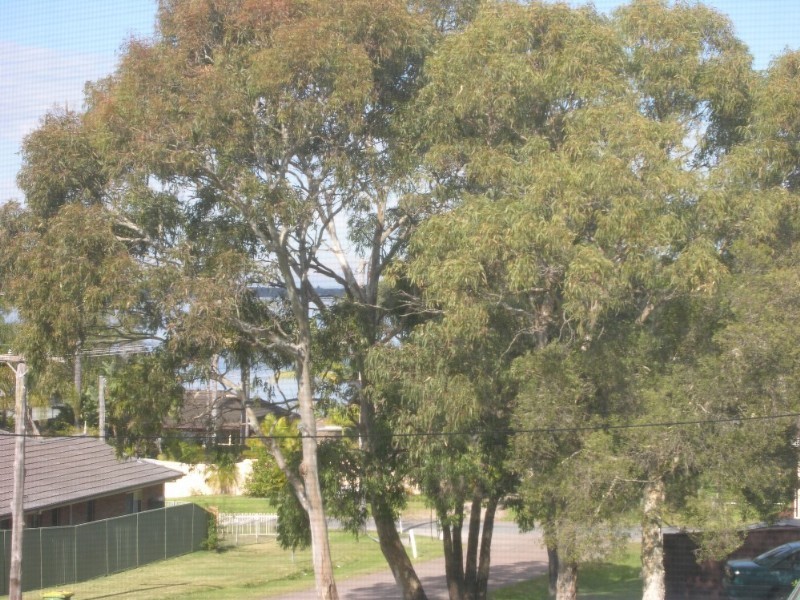 Lake Munmorah NSW 2259