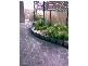 Hamlyn Terrace NSW 2259