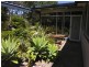 Budgewoi NSW 2262
