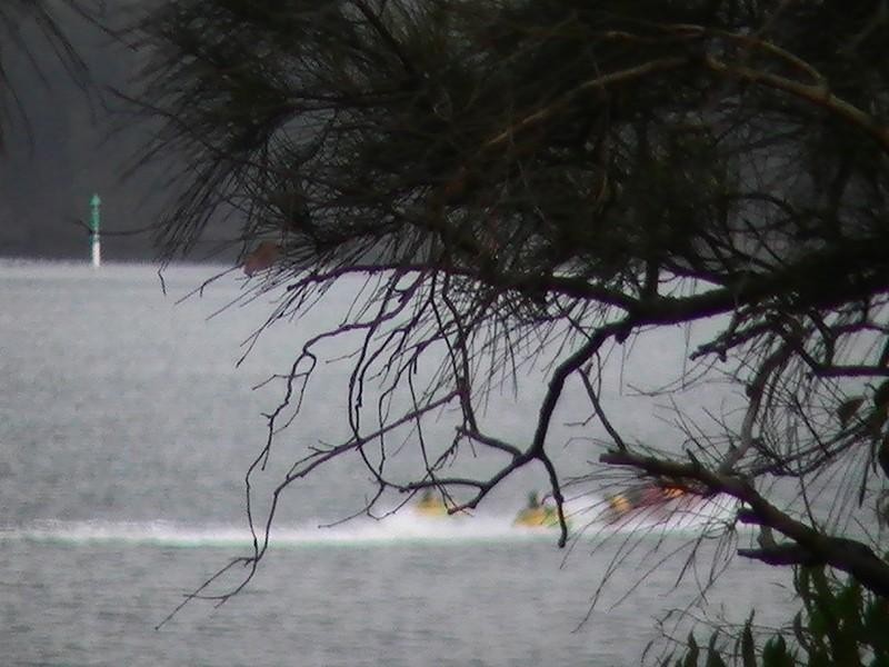 Budgewoi NSW 2262